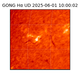 gong - 2025-06-01T10:00:02