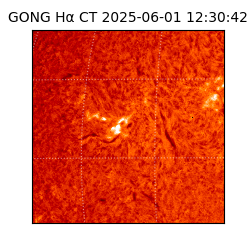 gong - 2025-06-01T12:30:42
