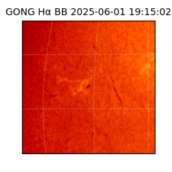 gong - 2025-06-01T19:15:02