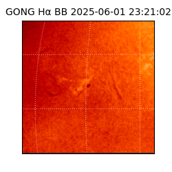 gong - 2025-06-01T23:21:02