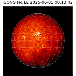 gong - 2025-06-01T00:13:42