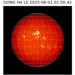 gong - 2025-06-01T01:00:42