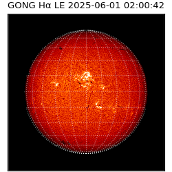 gong - 2025-06-01T02:00:42