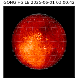 gong - 2025-06-01T03:00:42