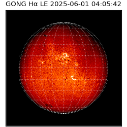gong - 2025-06-01T04:05:42