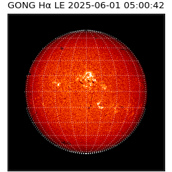 gong - 2025-06-01T05:00:42