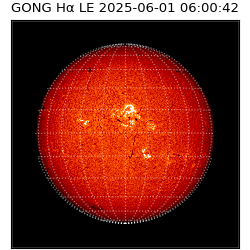 gong - 2025-06-01T06:00:42