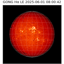 gong - 2025-06-01T08:00:42