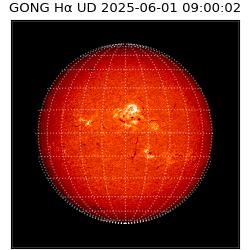 gong - 2025-06-01T09:00:02