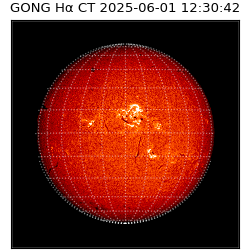gong - 2025-06-01T12:30:42