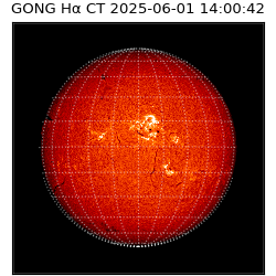 gong - 2025-06-01T14:00:42