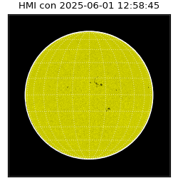 shmi - 2025-06-01T12:58:45