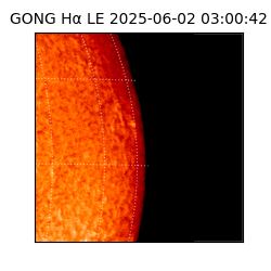 gong - 2025-06-02T03:00:42