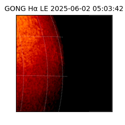 gong - 2025-06-02T05:03:42