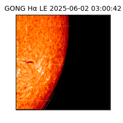 gong - 2025-06-02T03:00:42