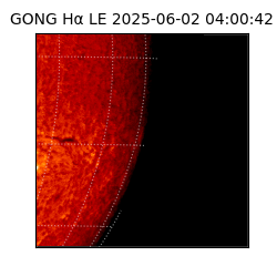 gong - 2025-06-02T04:00:42