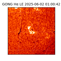 gong - 2025-06-02T01:00:42