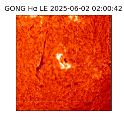 gong - 2025-06-02T02:00:42