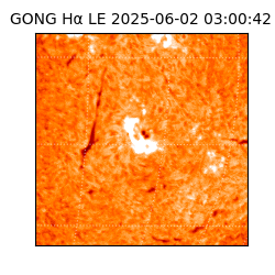 gong - 2025-06-02T03:00:42