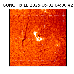 gong - 2025-06-02T04:00:42