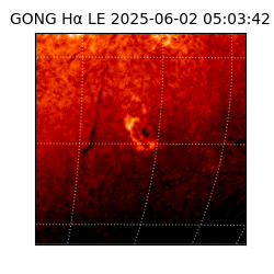 gong - 2025-06-02T05:03:42