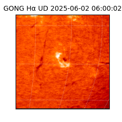 gong - 2025-06-02T06:00:02