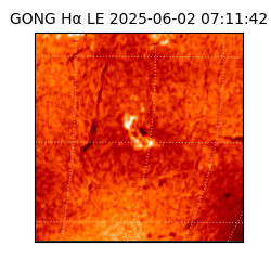 gong - 2025-06-02T07:11:42