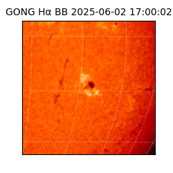 gong - 2025-06-02T17:00:02