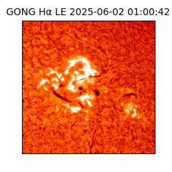 gong - 2025-06-02T01:00:42