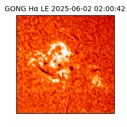 gong - 2025-06-02T02:00:42