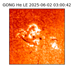 gong - 2025-06-02T03:00:42