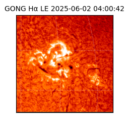 gong - 2025-06-02T04:00:42