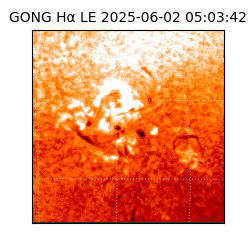 gong - 2025-06-02T05:03:42
