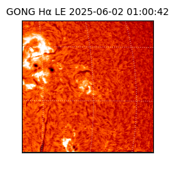 gong - 2025-06-02T01:00:42