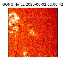 gong - 2025-06-02T02:00:42