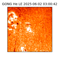 gong - 2025-06-02T03:00:42