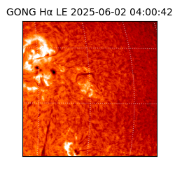 gong - 2025-06-02T04:00:42