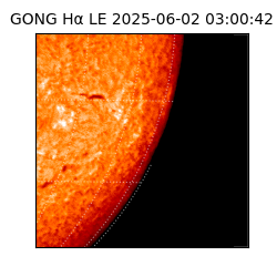 gong - 2025-06-02T03:00:42