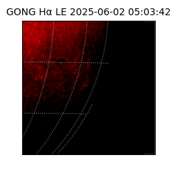 gong - 2025-06-02T05:03:42