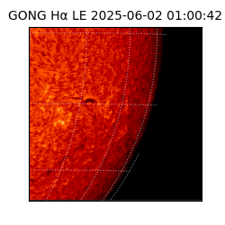 gong - 2025-06-02T01:00:42