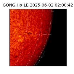 gong - 2025-06-02T02:00:42
