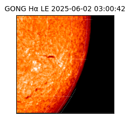 gong - 2025-06-02T03:00:42