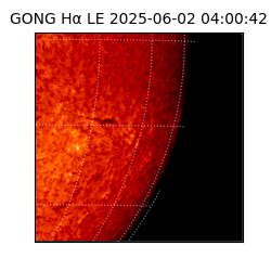 gong - 2025-06-02T04:00:42