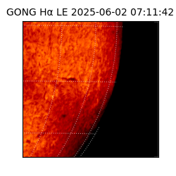 gong - 2025-06-02T07:11:42