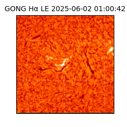 gong - 2025-06-02T01:00:42