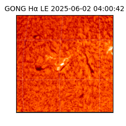 gong - 2025-06-02T04:00:42