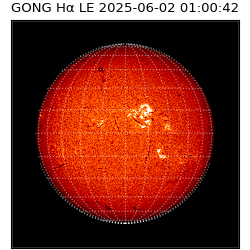 gong - 2025-06-02T01:00:42