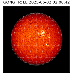 gong - 2025-06-02T02:00:42