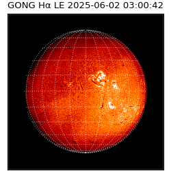gong - 2025-06-02T03:00:42