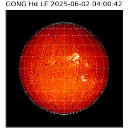 gong - 2025-06-02T04:00:42
